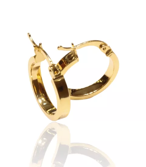 14 Ayar Altın Çivili Model Halka Küpe